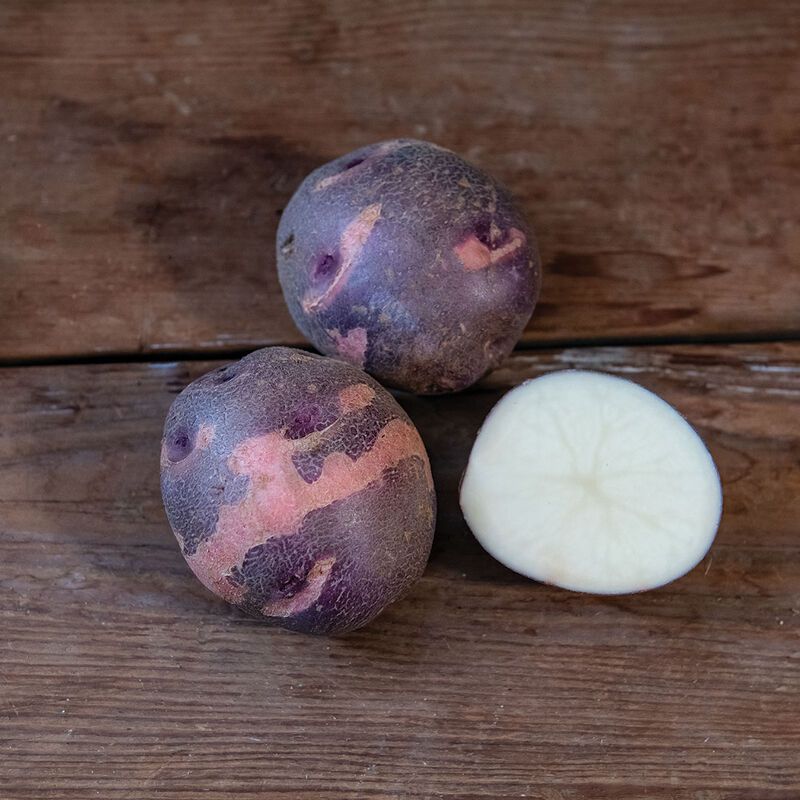 Purple Viking Potatoes (New Colorful Variety)