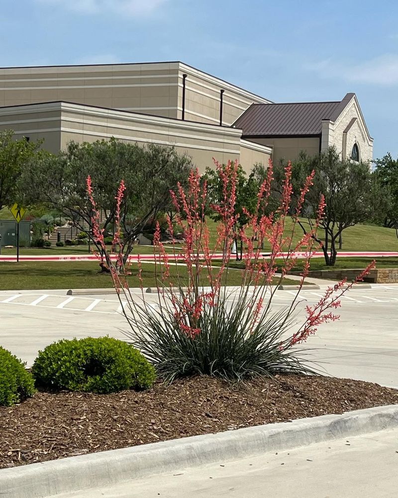 Leave Established Plants Alone More Than You Think