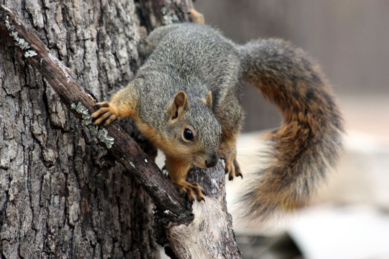 Spring Into Action With Mechanical Slips