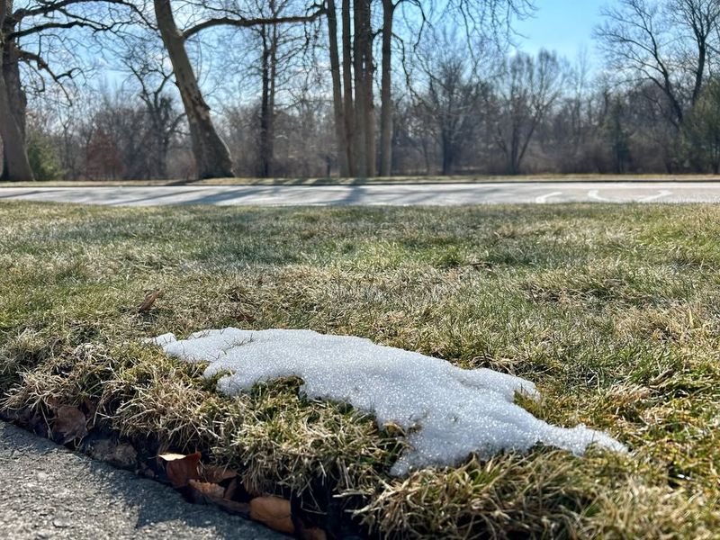 Root Activity Slows During Cold Weather