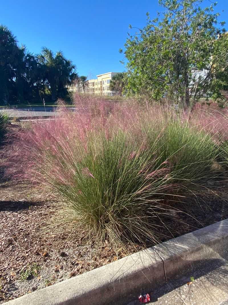 North Vs. South Florida Timing Differences