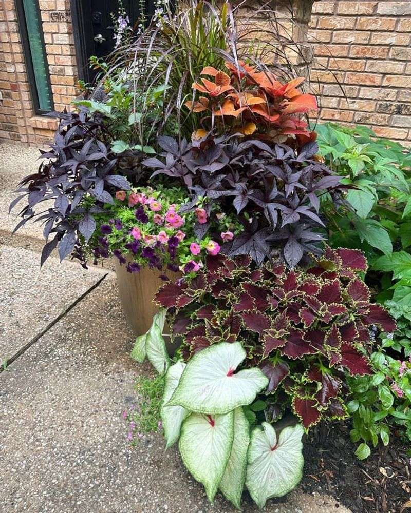 Container Gardens Pack Color And Flexibility Into Any Spot
