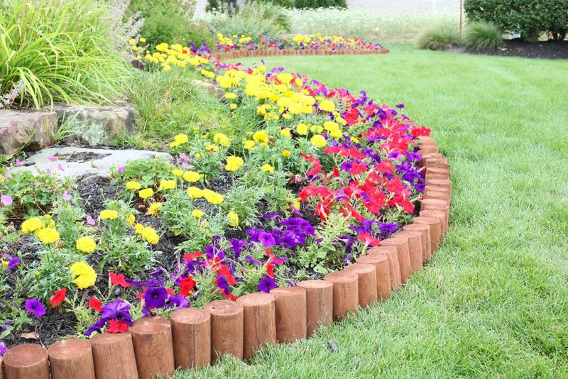 Log Edging Works Beautifully In Rustic Or Woodland Style Yards
