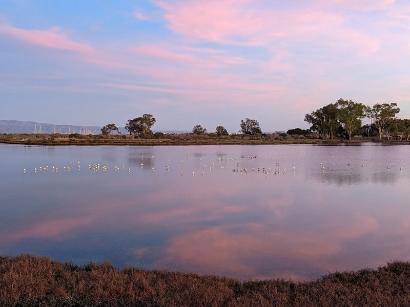 Palo Alto Baylands Nature Preserve