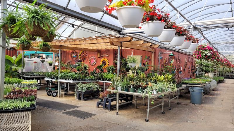 DeMonye's Greenhouse Delivers Bold Tropical Impact Near The City