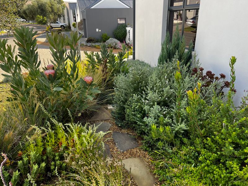 Design Your Garden To Reduce Evaporation