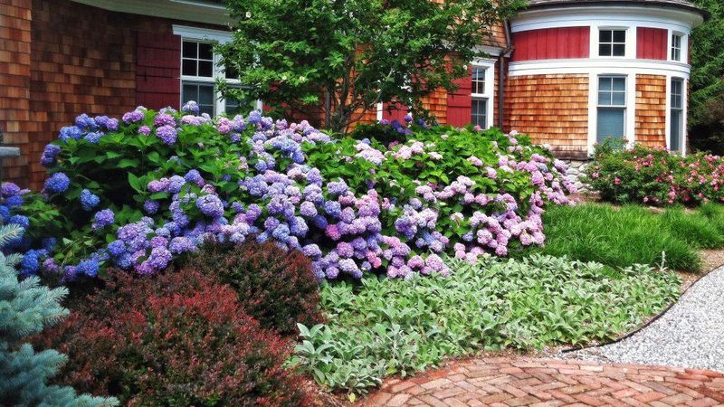 Create Layered Plantings With Trees And Shrubs