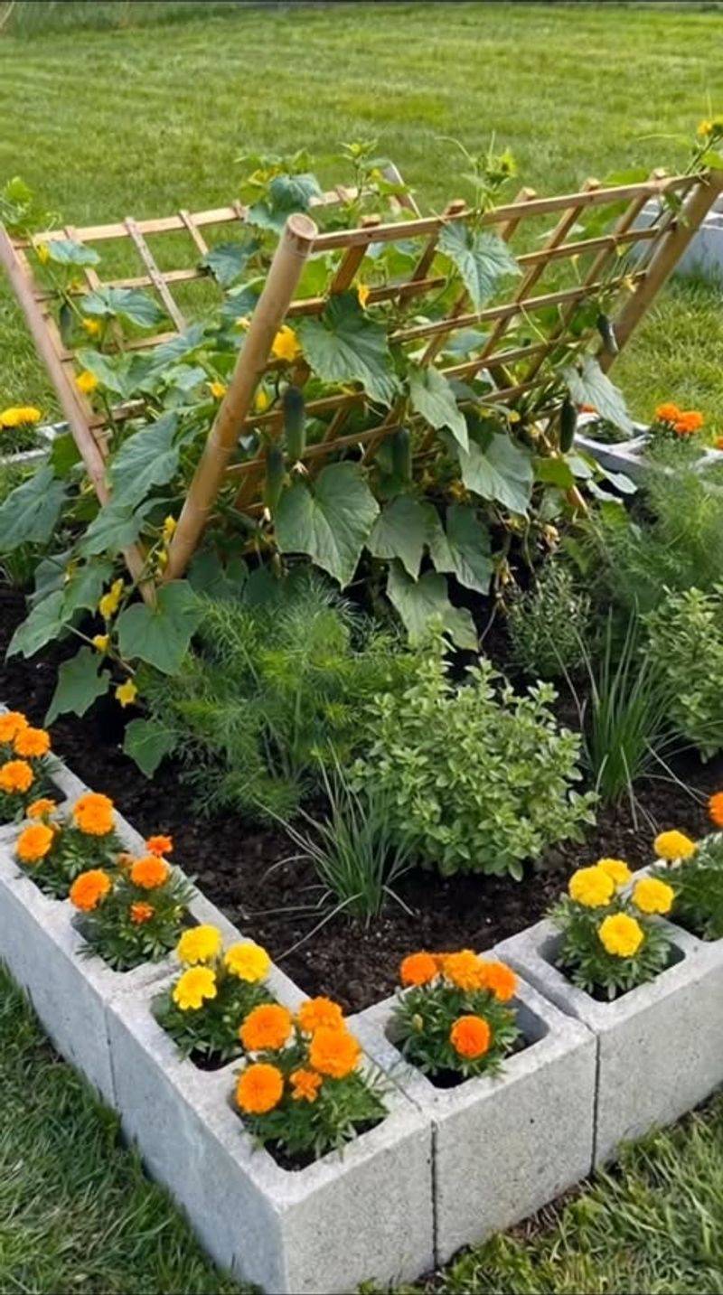 Build Simple Raised Beds With Affordable Materials