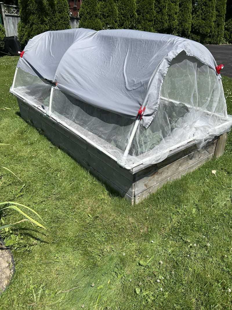 Use Row Covers To Protect Young Plants
