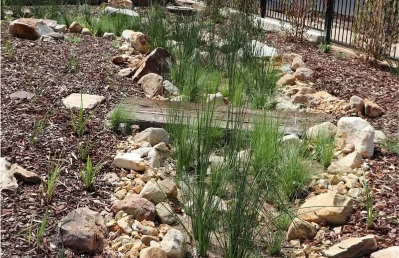 Reduce Lawn Work Without Losing Beauty