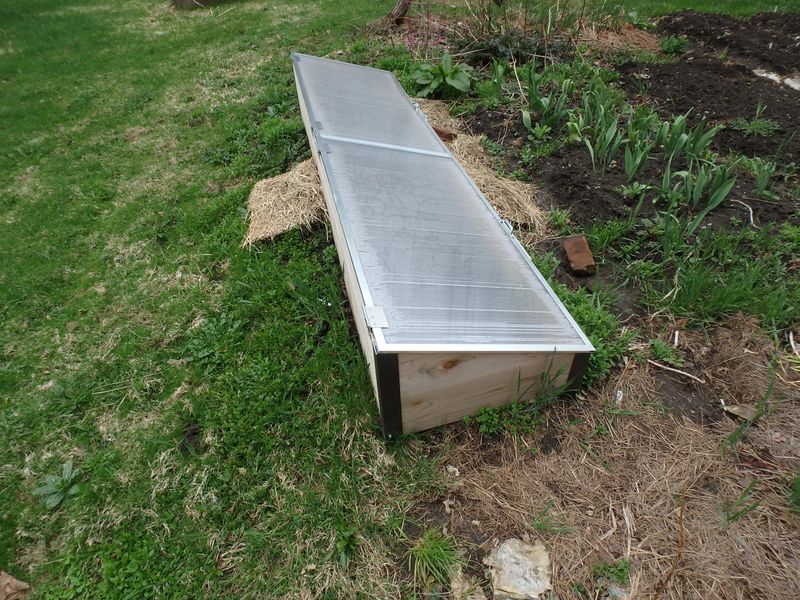 Speed Up Germination For Early Spring Crops