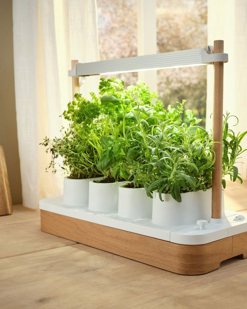Mini Herb Kitchen Garden