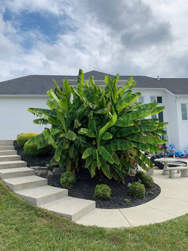 They Pair Well With Other Heat-Loving Plants