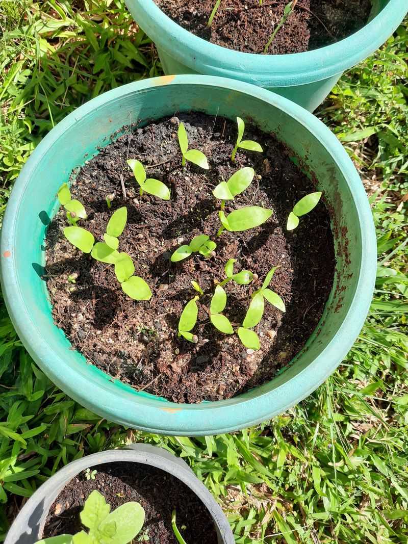 Plan Ahead For The End Of The Season