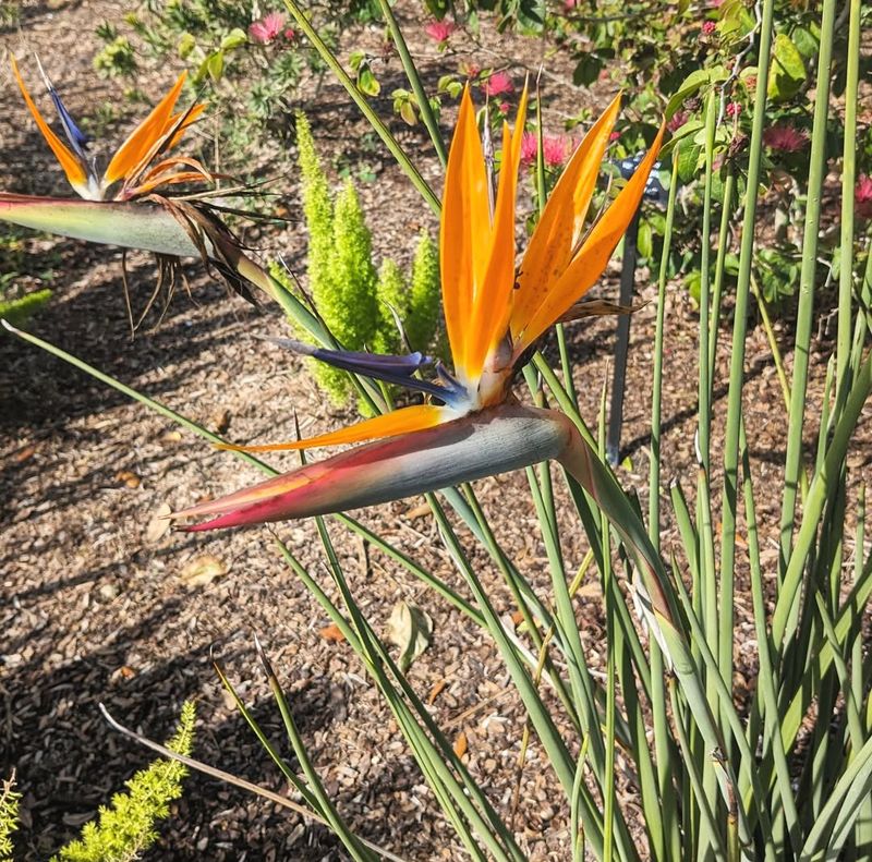 Opening The Center Helps Improve Airflow