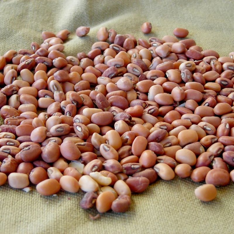 Reliable Southern Peas