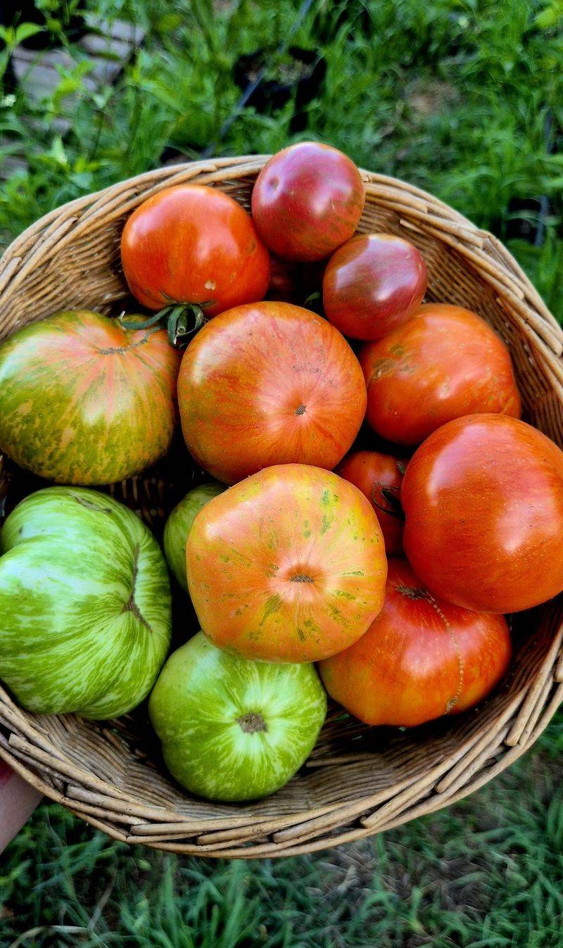 Solar Fire That Dominates In The Heat