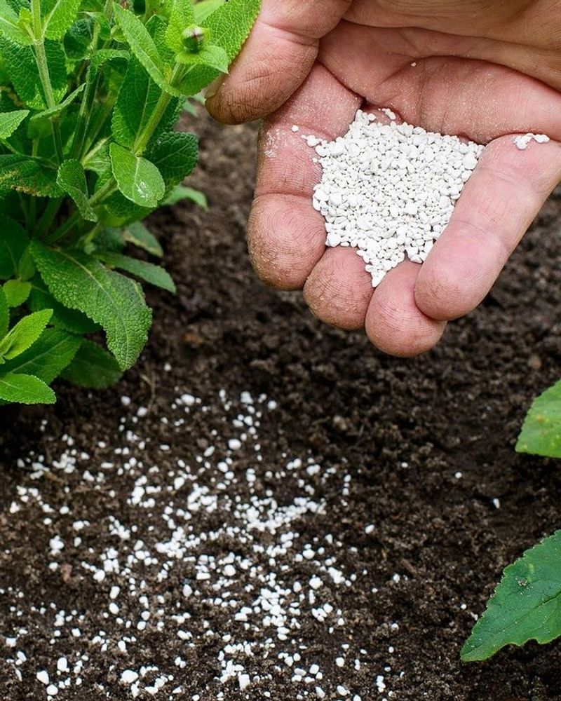 Determines Fertilization Needs