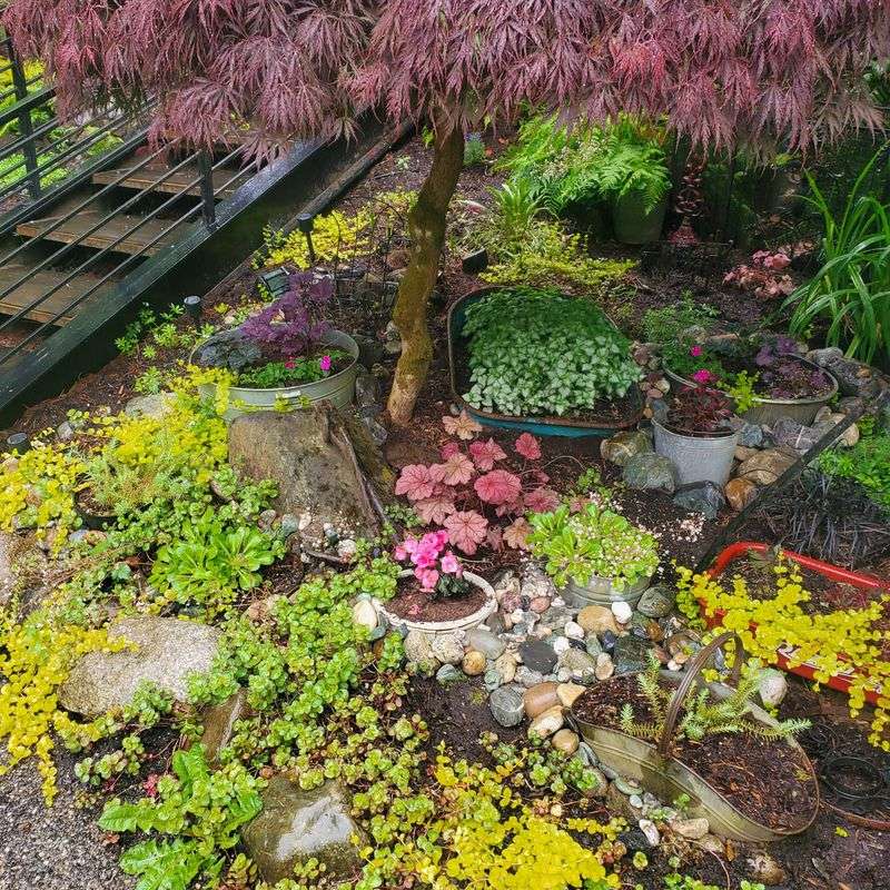 More Shade Than You Realize