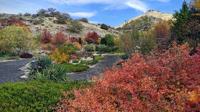 Wildfire Risk Changes Garden Design