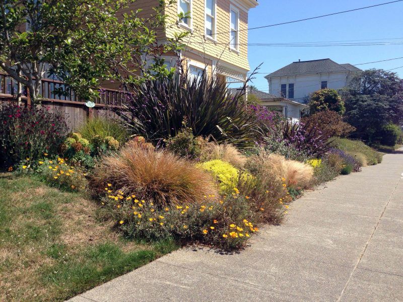 Longer Droughts, Thirstier Landscapes