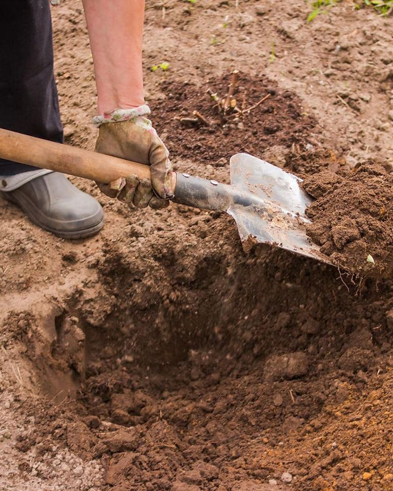 Improving Clay And Sandy Soils Before Spring Planting