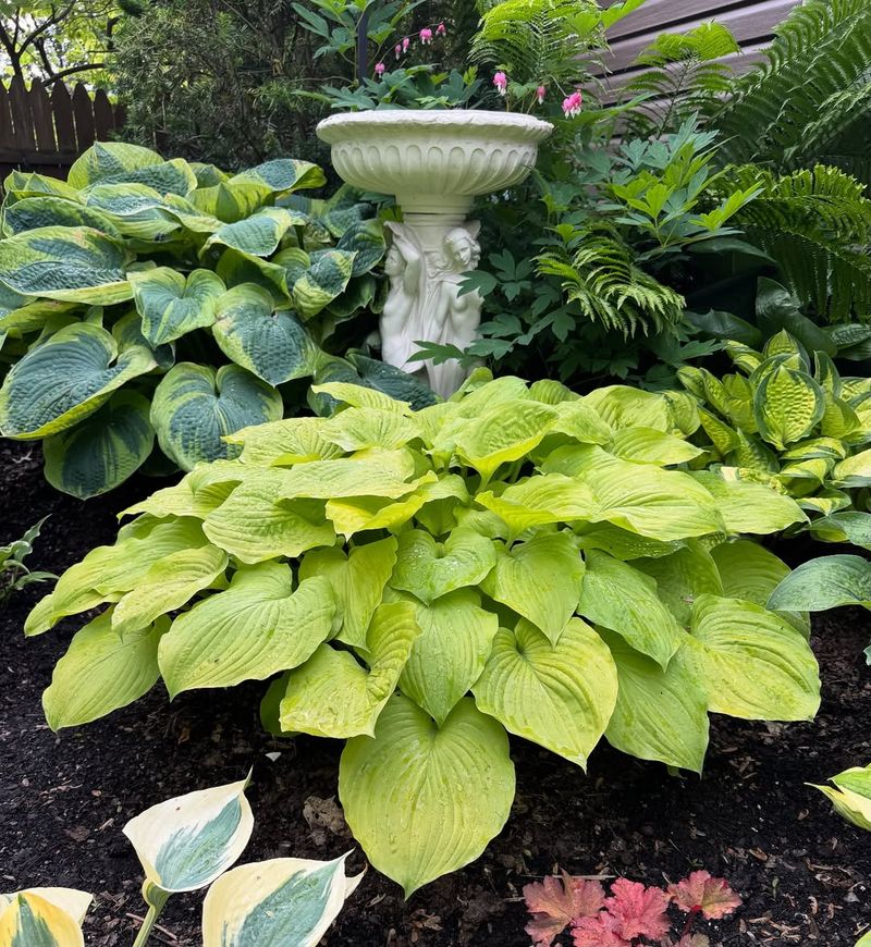 Why Fall Can Be A Smart Second Option