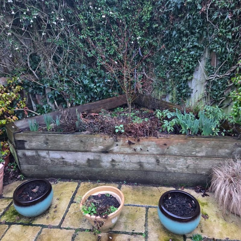 Remove Winter Debris From Beds