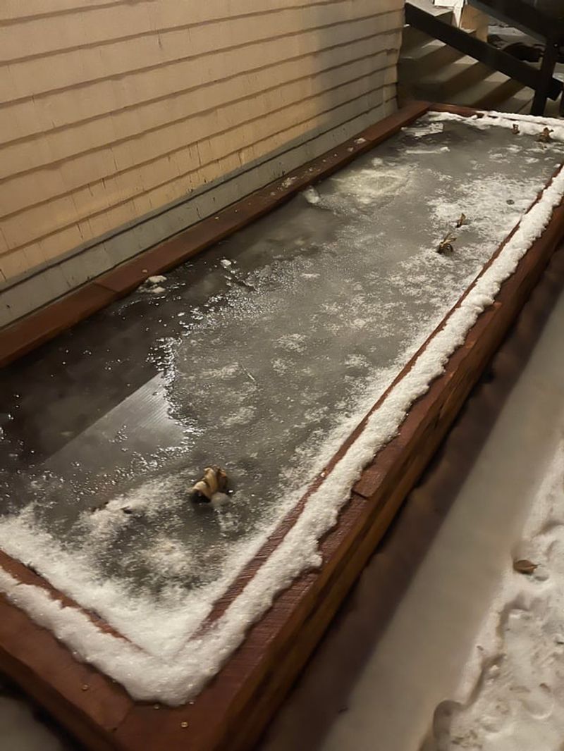 Water Expands When It Freezes