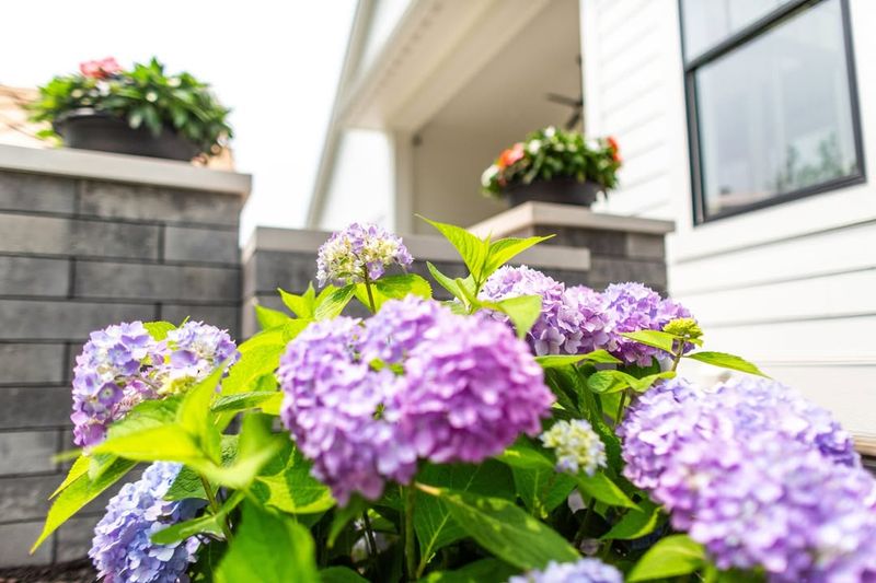 Ohio's Weather Sets The Pace