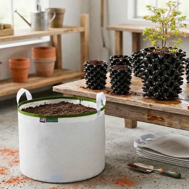 Start With Root Size Instead Of Choosing Pots By Appearance