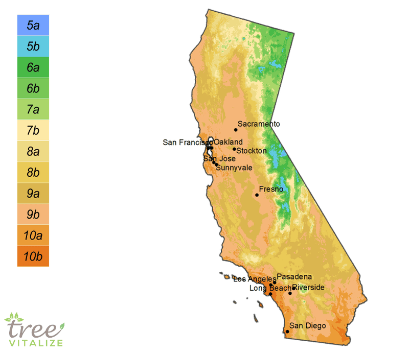 Understanding California Climate Zones Before Planting