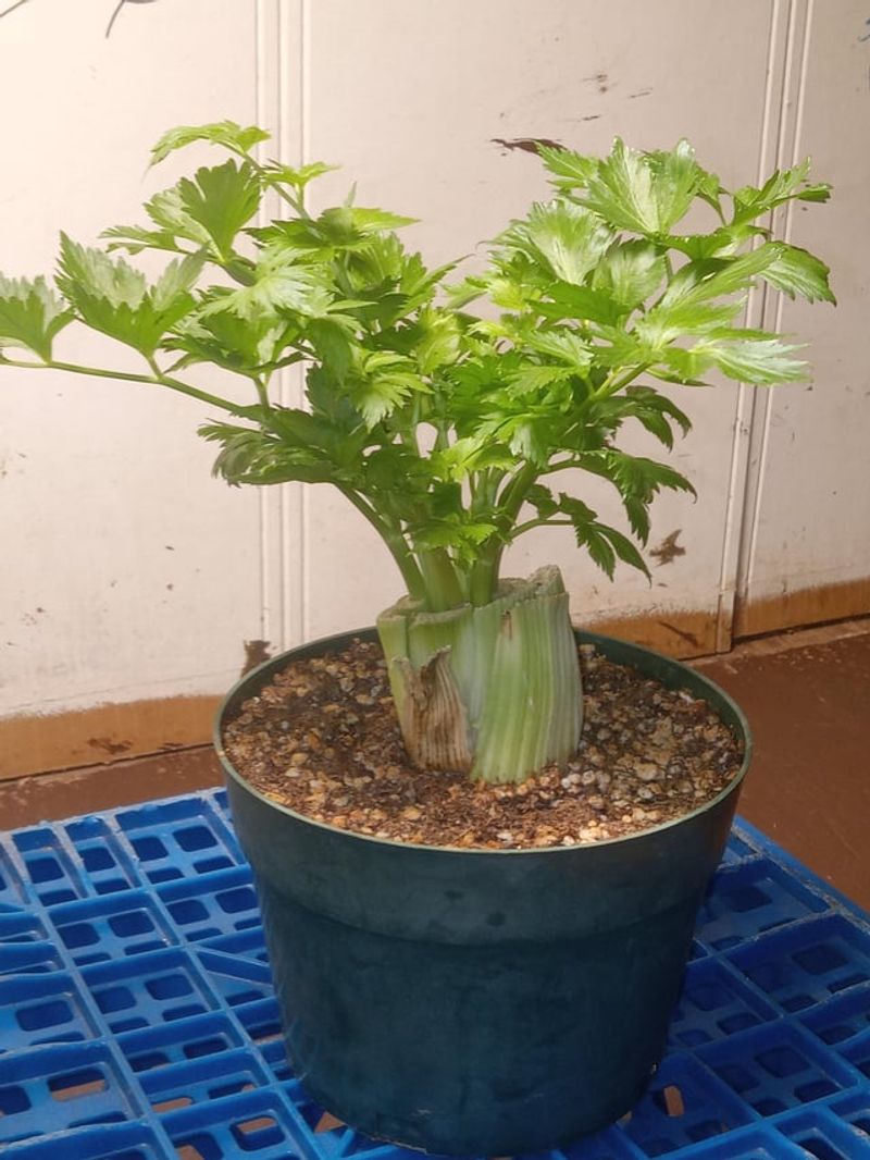 Pick The Right Container Size