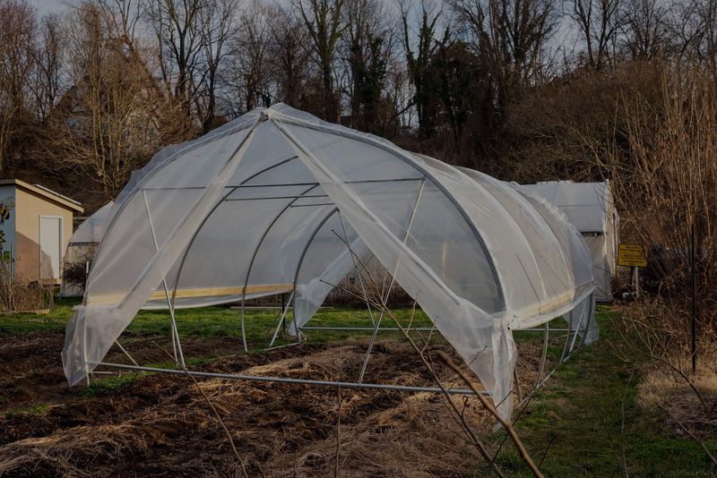 Other Greenhouse Options For Ohio Gardeners