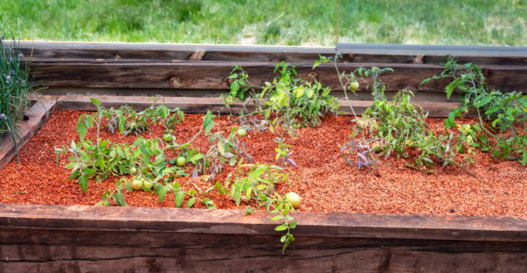 How To Improve Heavy Clay Soil In North Carolina’s Piedmont Region