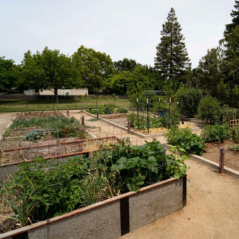 Assess Local Community Interest And Goals