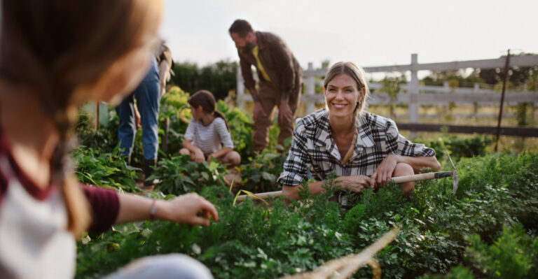 How To Join Or Start A Community Garden In Ohio