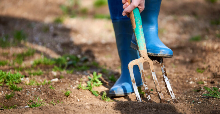 How To Prepare Flower Beds In April In North Carolina Without Overworking Soil