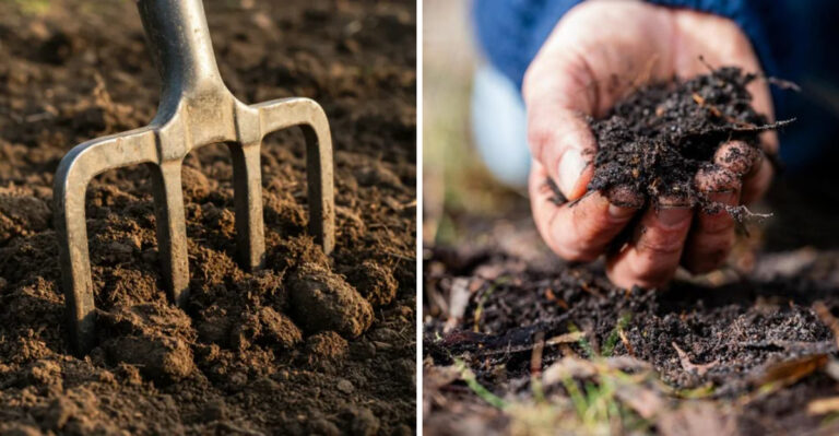 How To Prepare Your Soil For A Stronger Spring Garden In Georgia