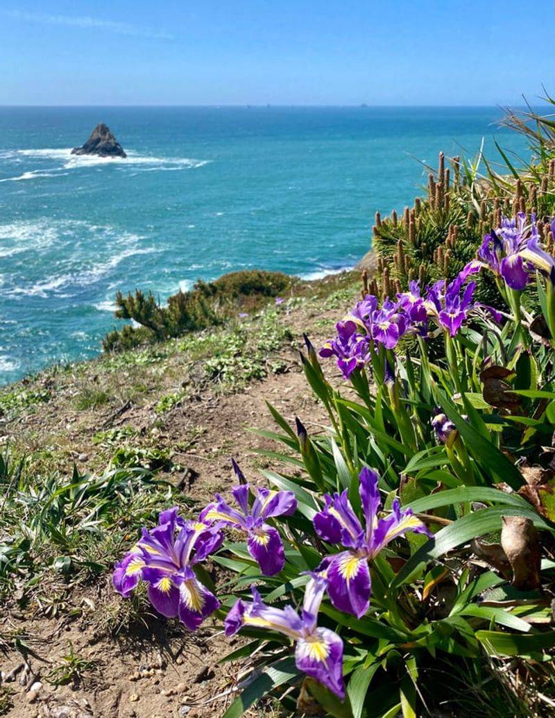 Climate Change And Oregon Blooms