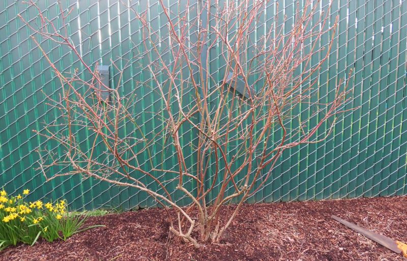 Start With The Right Timing