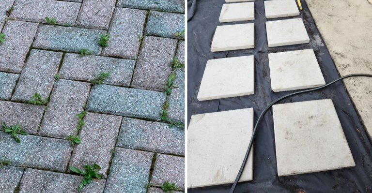 How To Stop Grass From Growing Between Patio Stones In Georgia