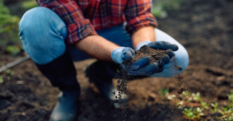 How To Tell If Your Oregon Soil Is Ready For Planting