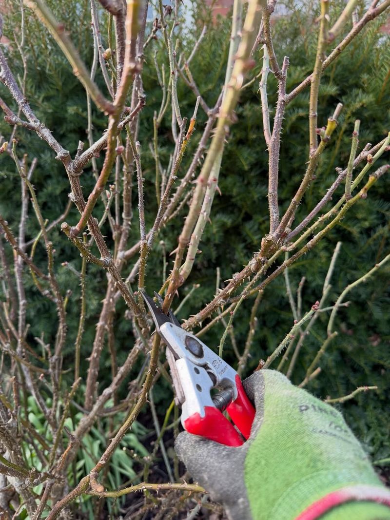 Prune Now, Not Later