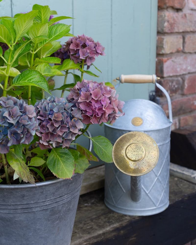 Water Early In The Day