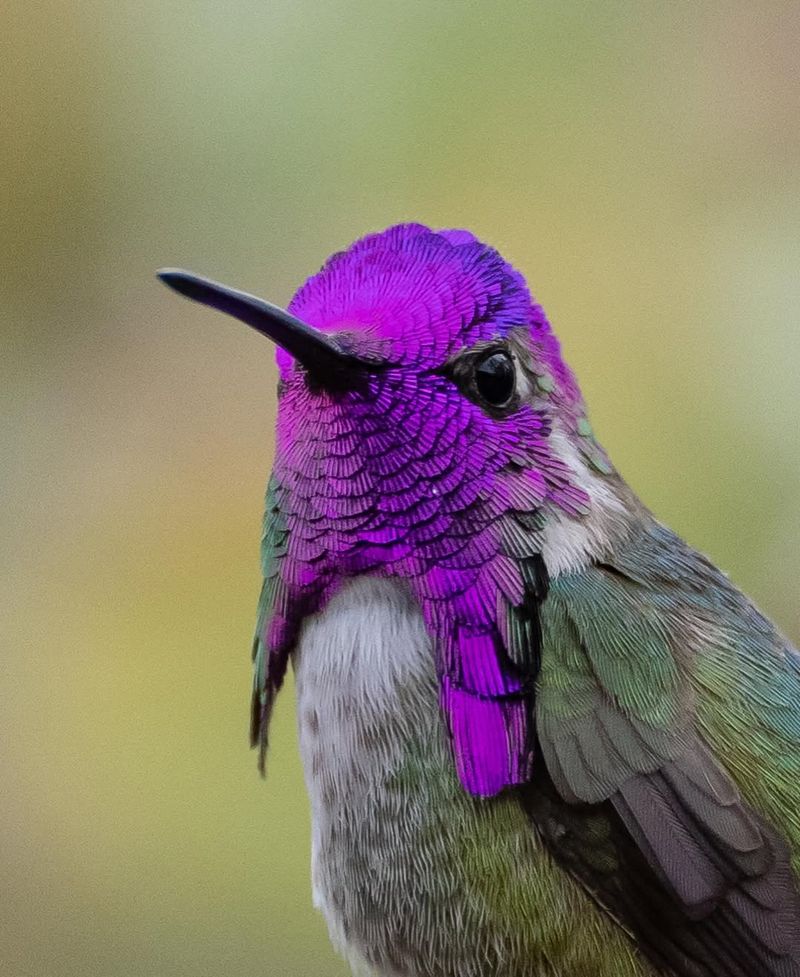 Shallow Water Sources Encourage More Visits