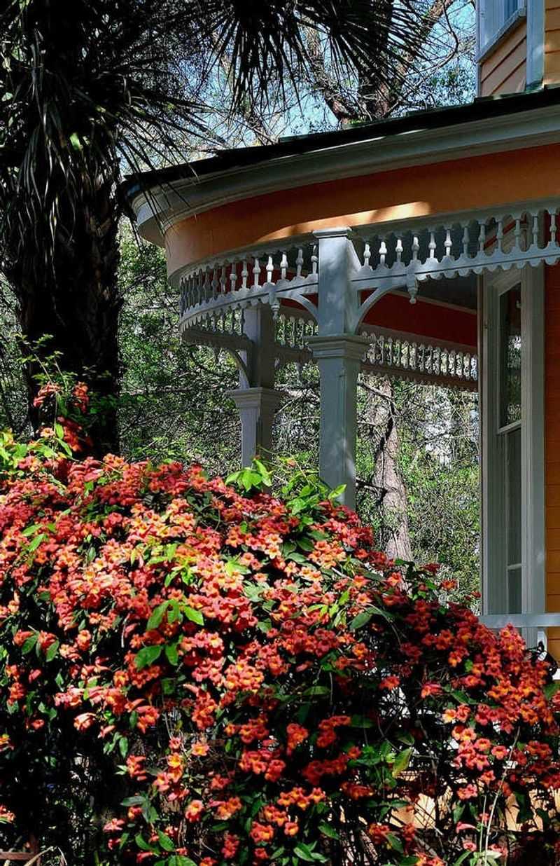 Fast Growth Covers Fences And Structures Quickly