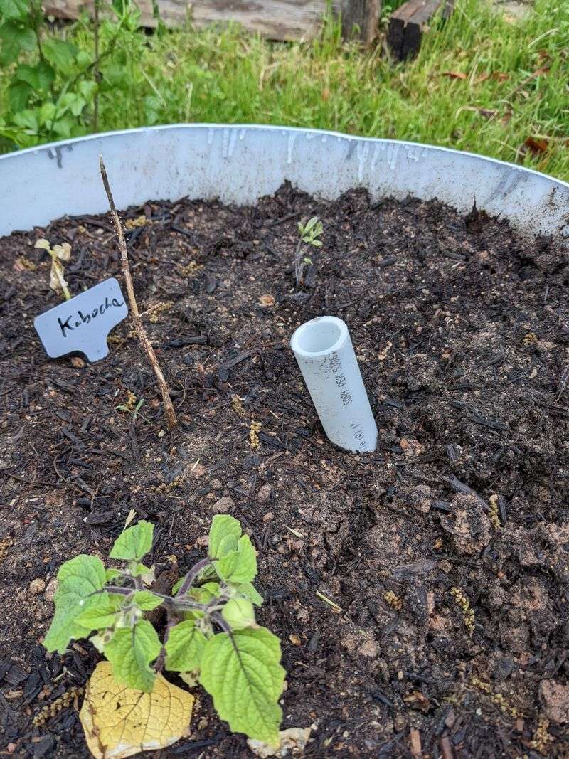 Filling Beds With Poor-Quality Mix