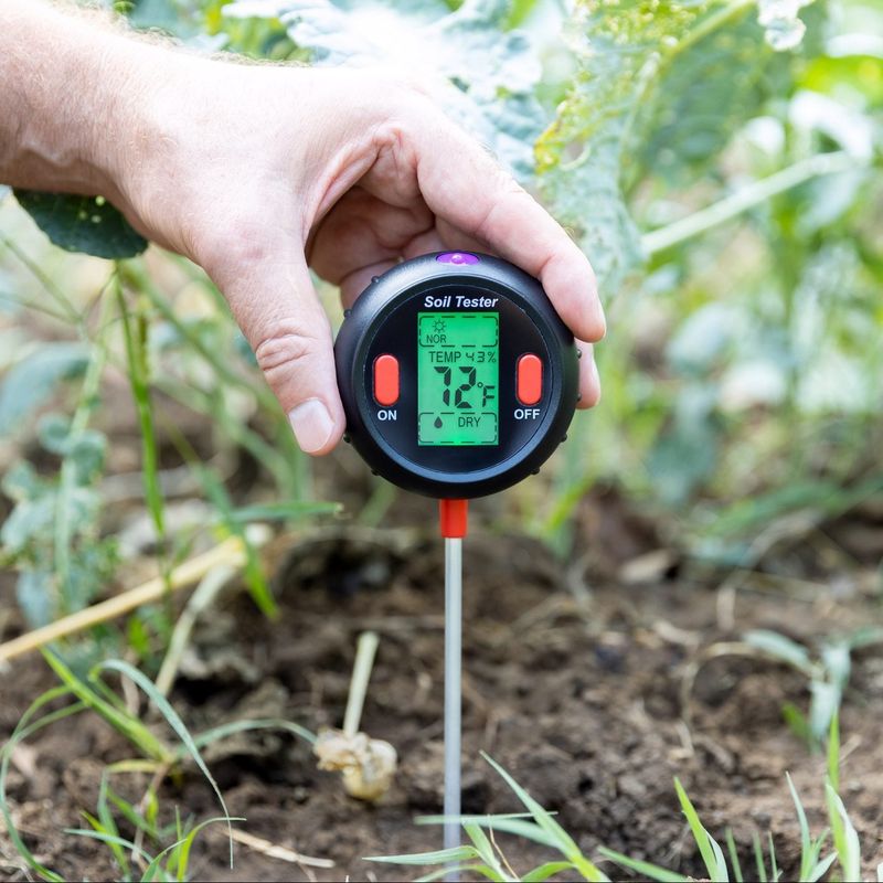Skipping Soil Testing