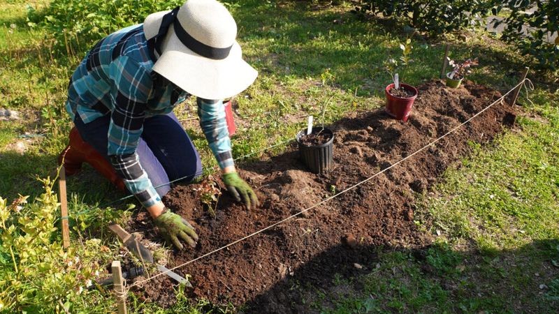 Planting In Heavy Clay Or Poorly Drained Soil